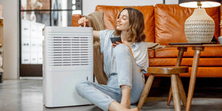Can an Air Purifier Help with My Allergies? - Megafurniture