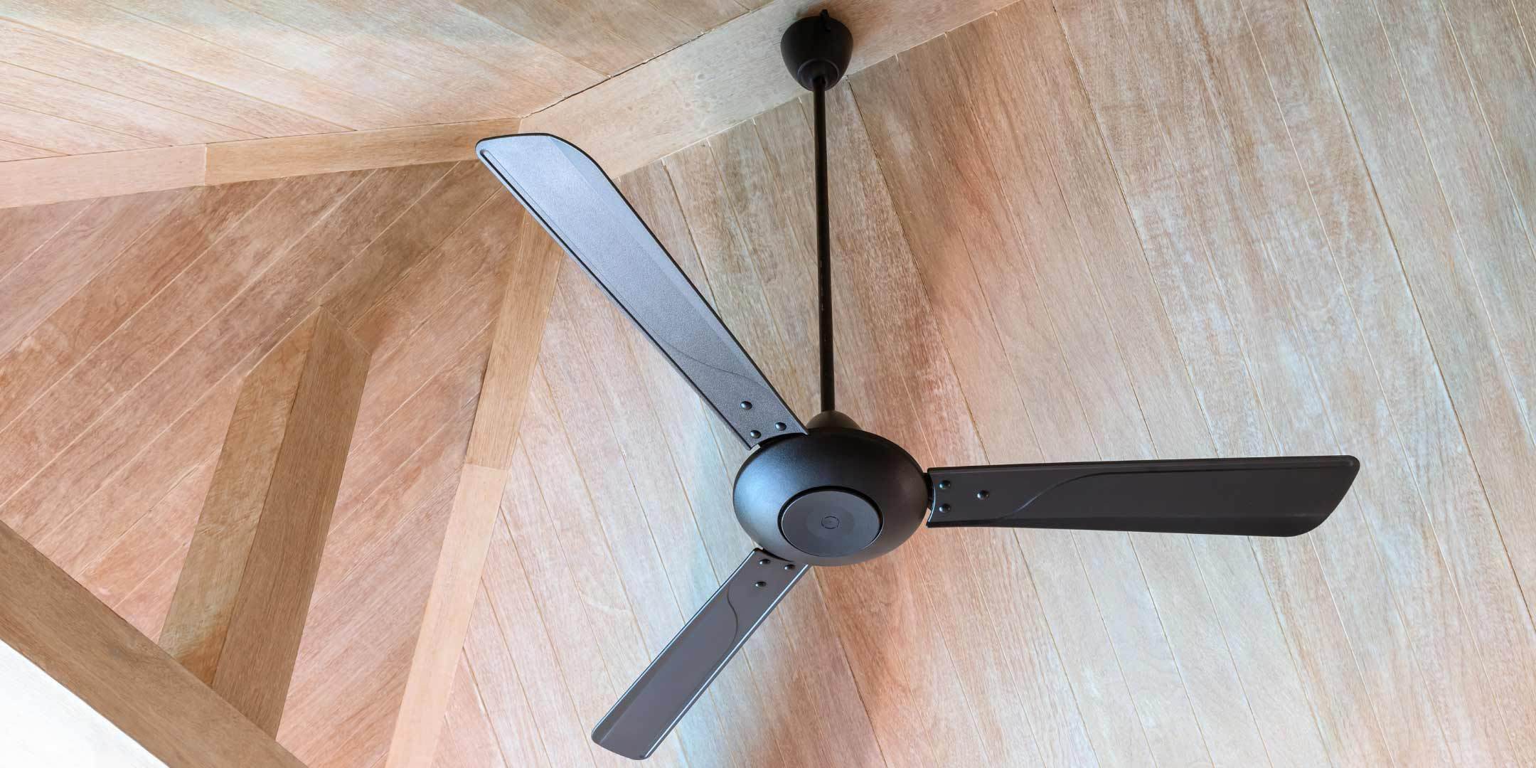 Spytte Sult arbejde Most Common Ceiling Fan Issues and How to Solve Them