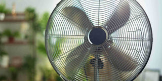 Spot On: 2 Best Brands of Standing Fan Singapore To Look Out For [Review] - Megafurniture