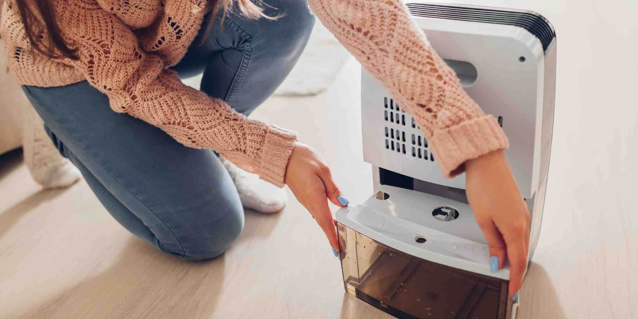 How to Clean Mold from Dehumidifier StepbyStep Guide Megafurniture