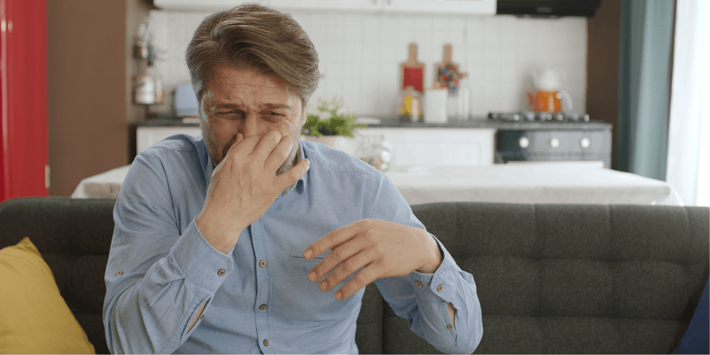 11 Tips to Avoid Fabric Sofa to Smells Musty Megafurniture