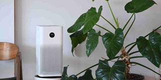 5 Best Air Purifiers from EuropAce: Are They Worth the Investment? - Megafurniture