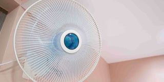 5 Essential Things To Know When Buying a Wall Fan - Megafurniture