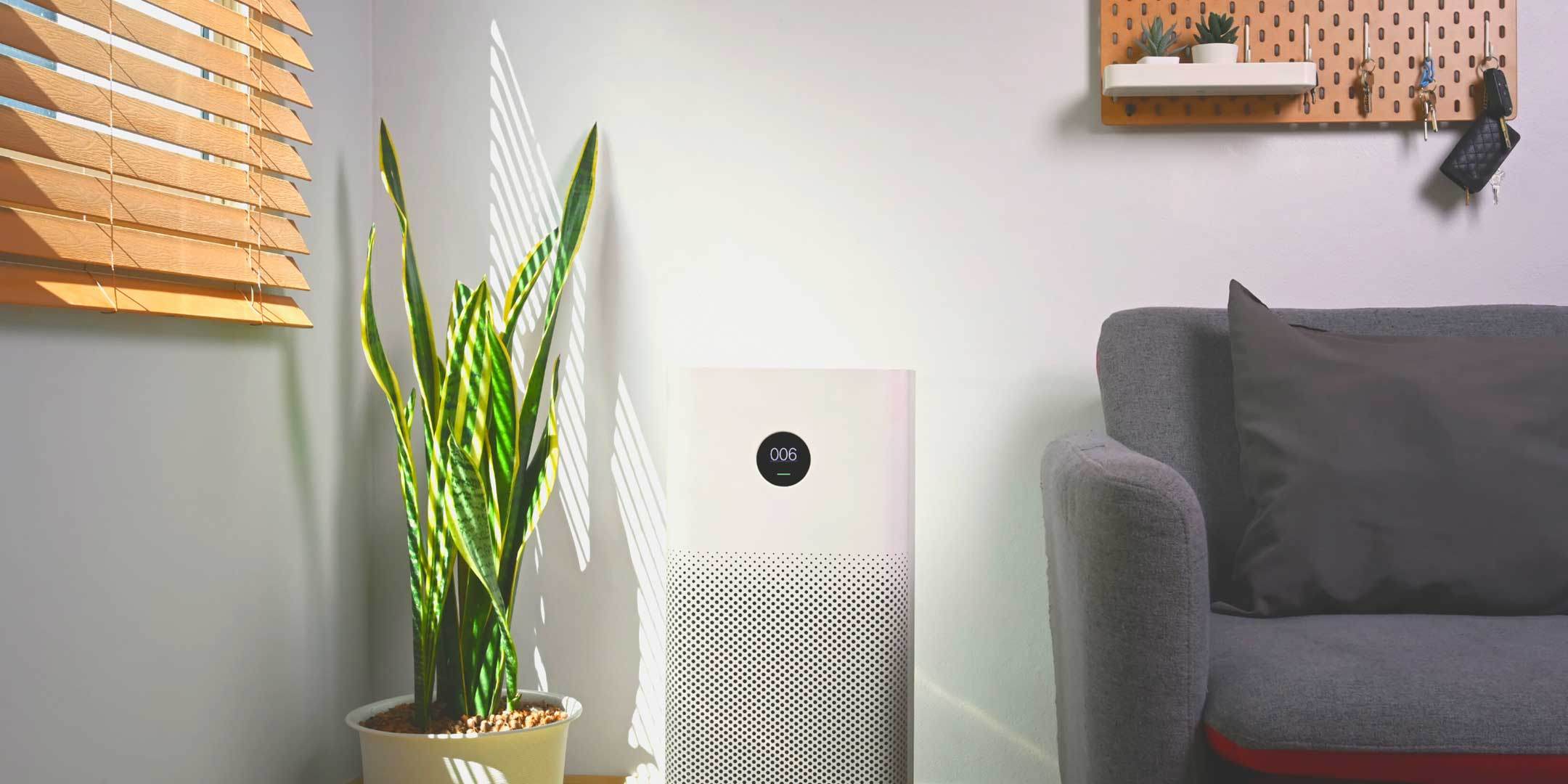 5 Reasons Why You Need to Buy an Air Purifier – Megafurniture