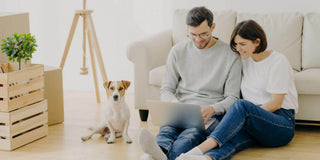 6 Best Pet-Friendly Sofa Materials + Tips - Megafurniture