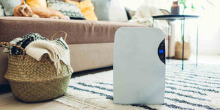 7 Steps To Dry Your Clothes Quickly with a Dehumidifier [Dehumidifier Benefits Unlocked] - Megafurniture