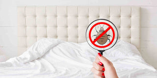 8 Ways to Remove Bedbugs on Mattress - Megafurniture