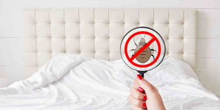 8 Ways to Remove Bedbugs on Mattress - Megafurniture
