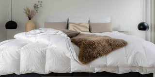 Mattress Singapore Size: How To Choose the Perfect Mattress for Your Home