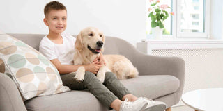 Pet Damage to Your Sofa? Tips for Keeping It in Top Shape