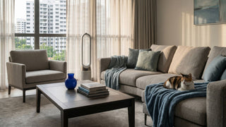 Air con not cold in a Singapore living room with beige sofa, coffee table, curtains, fan and cat resting on the couch.