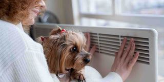 Air Conditioner Window Buying Guide: What To Look For - Megafurniture