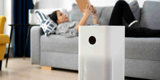 Air Purifier For Home: Where Is Its Ideal Spot? - Megafurniture