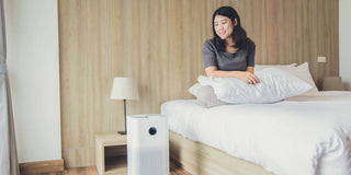 Air Purifier vs. Humidifier vs. Diffuser: Comparison Guide - Megafurniture