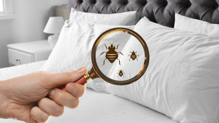 Are Bed Bug Mattress Protectors Effective in Preventing Infestations? - Megafurniture