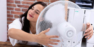 Can a Fan Drive Mosquitoes Away? - Megafurniture