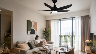 Ceiling fan with lights installed in a modern Singapore HDB living room