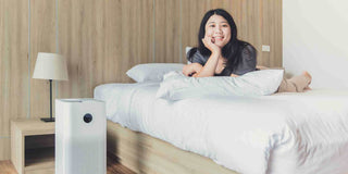 Combat Indoor Air Pollutants With An Air Purifier For Dust - Megafurniture