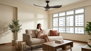 Contemporary ceiling fan in a Singapore home