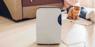 Dehumidifier Purpose Unlocked: 4 Easy Steps to Cool Down Your Room with a Dehumidifier [Includes Tips] - Megafurniture