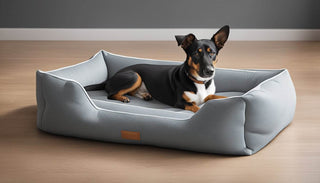 Dog Beds for Singaporean Pooches: A Comfortable and Stylish Solution - Megafurniture