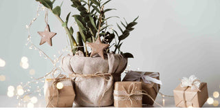 Greening Your Christmas: A Guide to an Eco-Friendly Holiday Season - Megafurniture