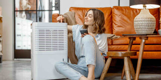 How to Improve Your Indoor Air Quality at Home - Megafurniture