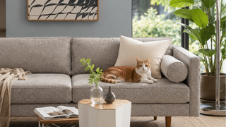 Pet-friendly sofa fabric for a Singapore home