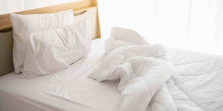 Seahorse Shop Singapore: Transform Your Sleep Experience with Seahorse Bedding from Megafurniture Singapore - Megafurniture