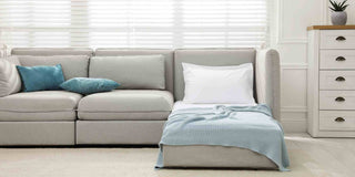 Sofa Bed vs. Regular Sofa: Which One Is Right for You?
