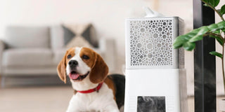 The Ultimate Guide to Evaporative Air Coolers - Megafurniture