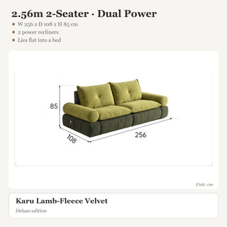 2.56m 2-Seater · Dual Power