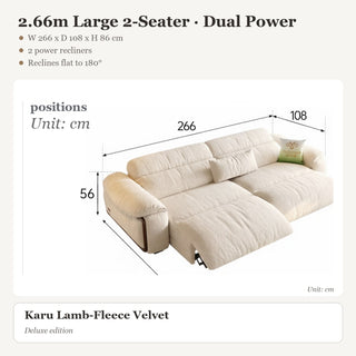 2.66m Large 2-Seater · Dual Power