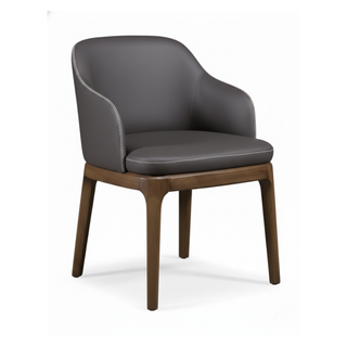 Delphinus Dining Chair