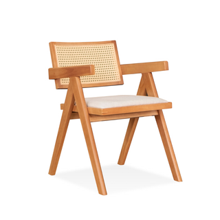 Delora Rattan Dining Chair with Cushion
