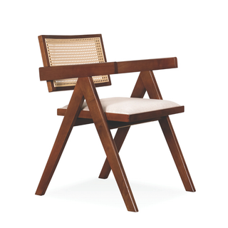 Delora Rattan Dining Chair with Cushion