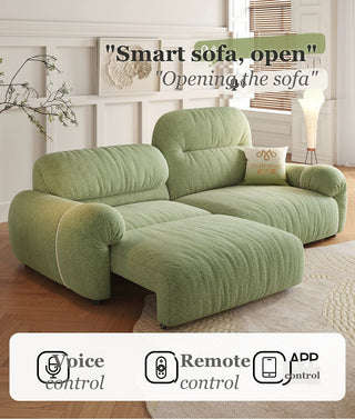 Voice, remote and app control