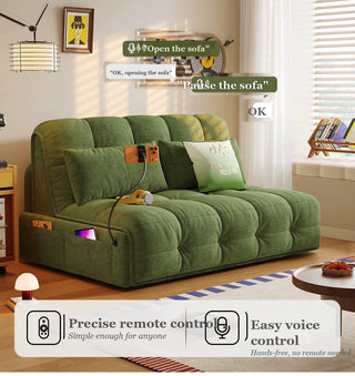 Voice and remote control