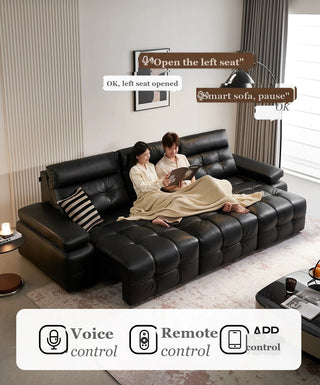 Voice, remote and app control