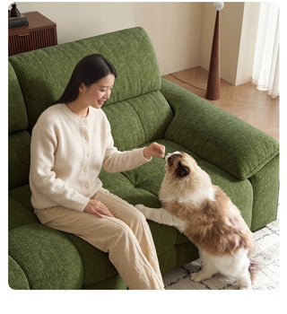 Pet-friendly velvet