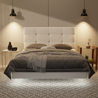 Rachelle Genuine Leather Floating Bed Frame (With LED)