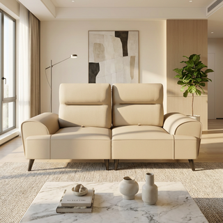 Brylor Fabric Adjustable Backrest Sofa by Esteller (Pet Friendly & Easy Clean)