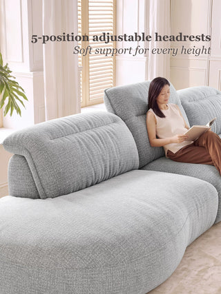 Adjustable back cushions