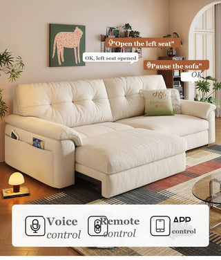 Voice, remote and app control