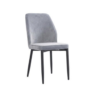 Talonie Faux Leather Dining Chair (Pet Friendly)