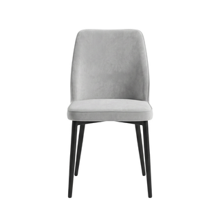 Talonie Faux Leather Dining Chair (Pet Friendly)