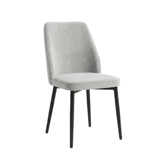 Talonie Faux Leather Dining Chair (Pet Friendly)