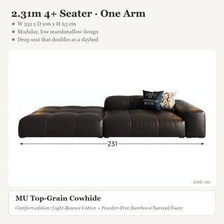 2.31m 4+ Seater · One Arm