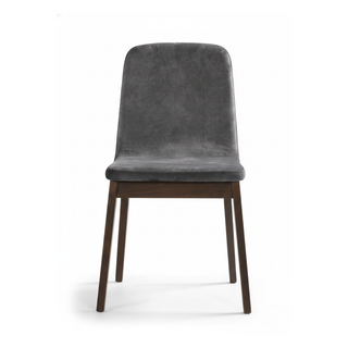Delphin Fabric Dining Chair