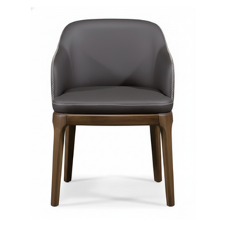 Delphinus Dining Chair